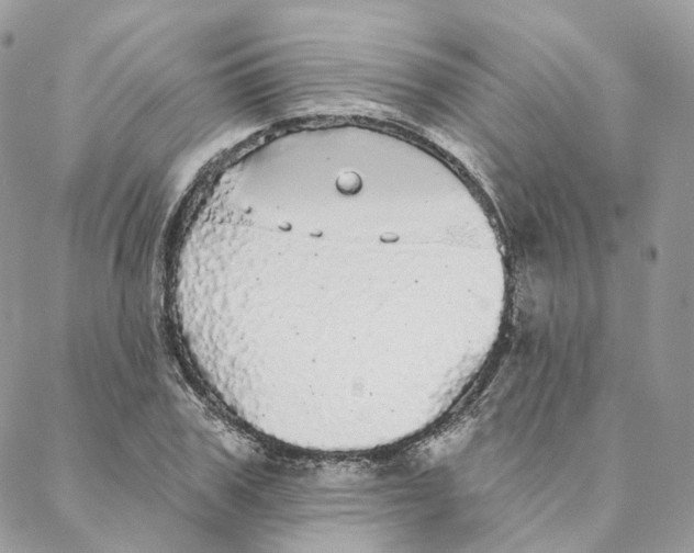 X0000088020979200706011320