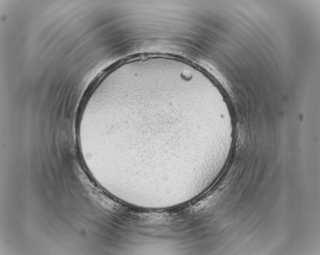 X0000088020980200706011320