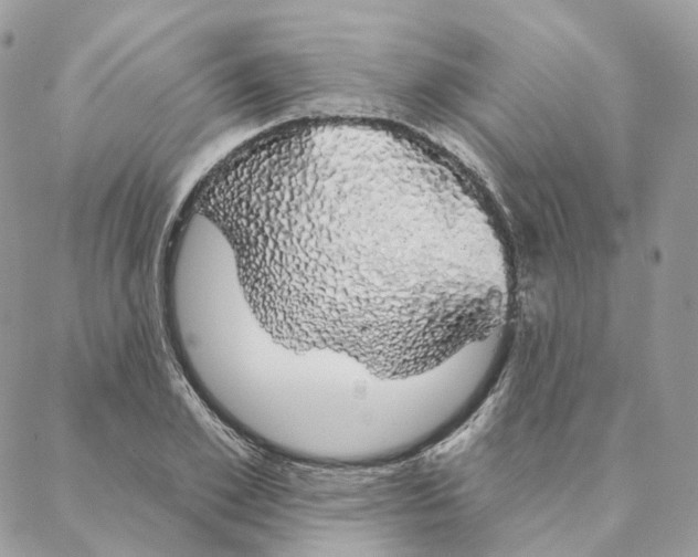 X0000088020981200706011320