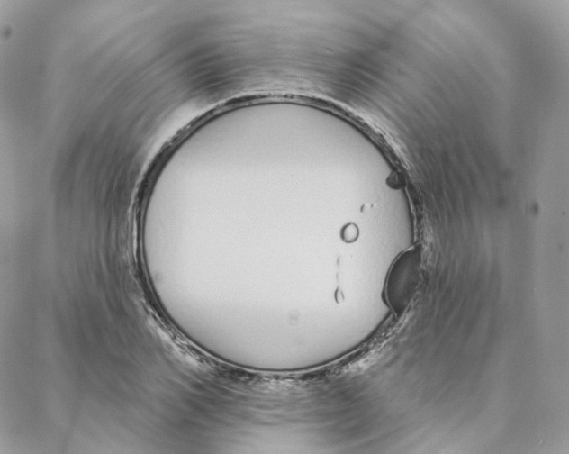 X0000088020982200706011320