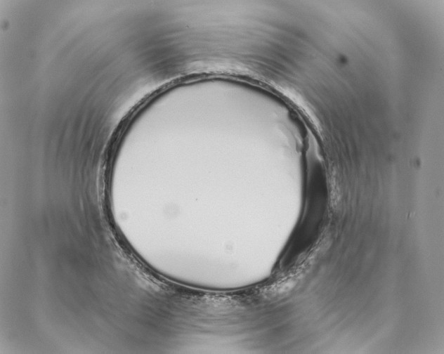 X0000088020983200706011320