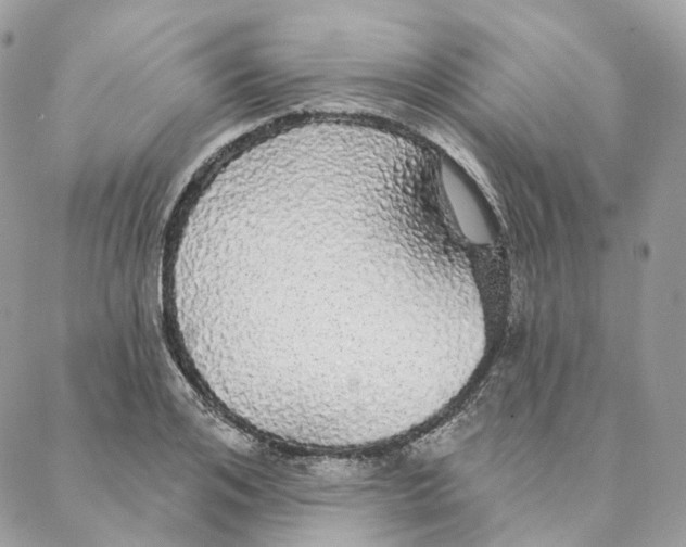 X0000088020984200706011320