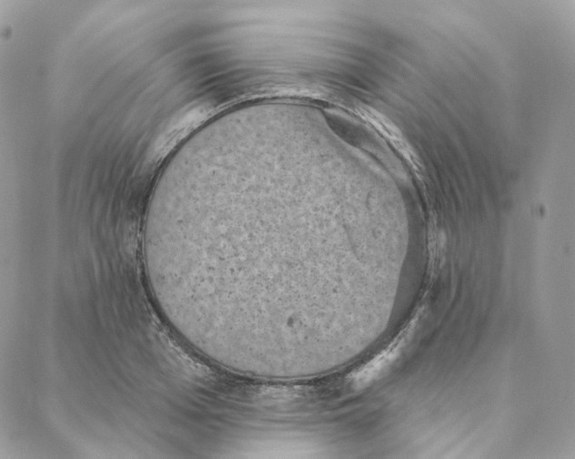 X0000088020985200706011320