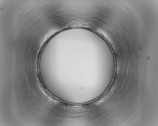 X0000088020986200706011320