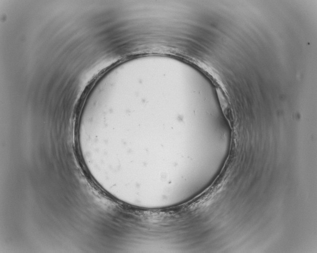 X0000088020987200706011320