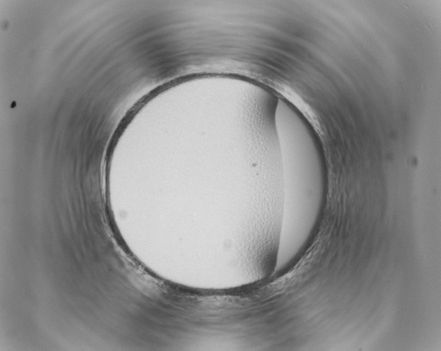 X0000088020988200706011320