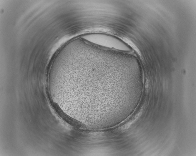 X0000088020989200706011320