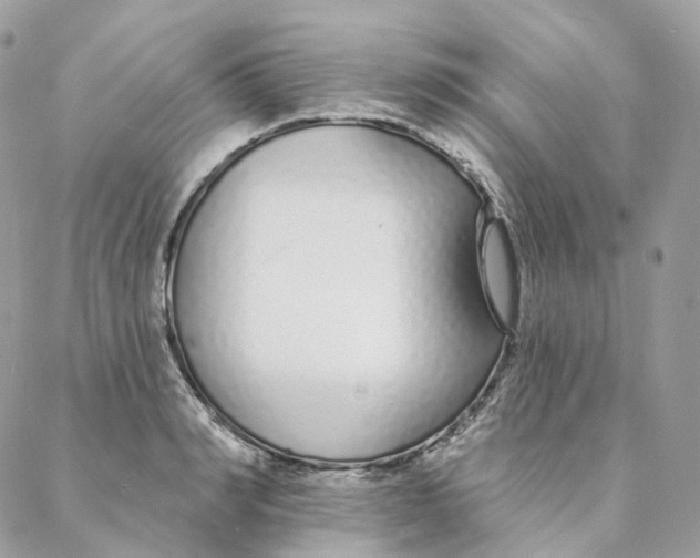 X0000088020990200706011320