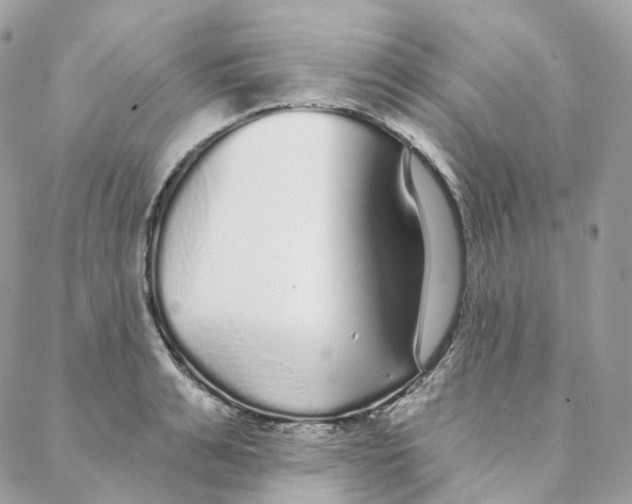 X0000088020991200706011320