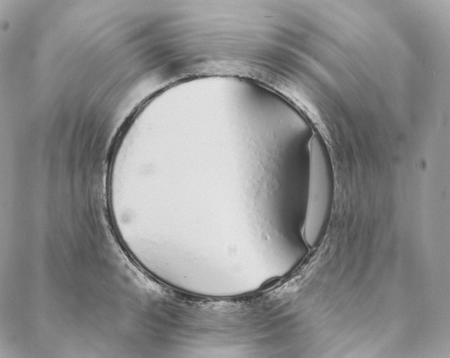 X0000088020992200706011320