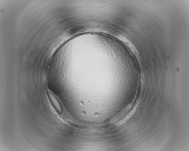 X0000088020993200706011320