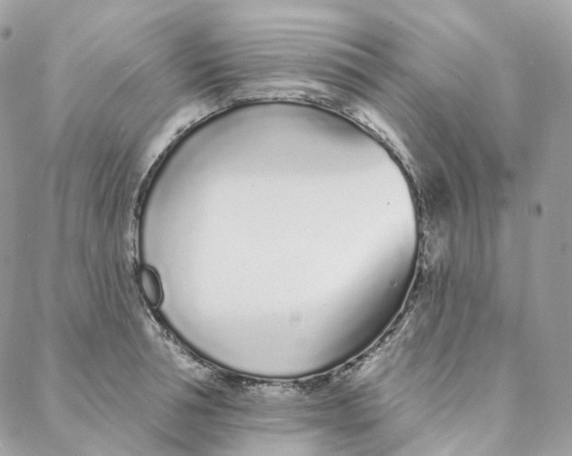 X0000088020994200706011320