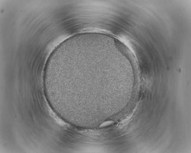 X0000088020995200706011320