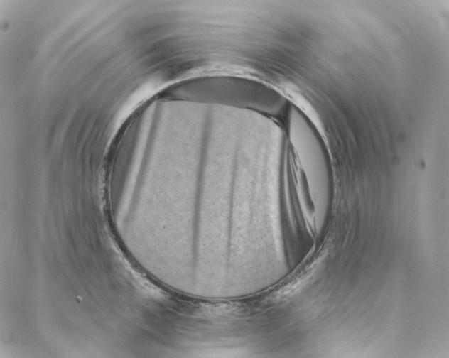 X0000088020997200706011320