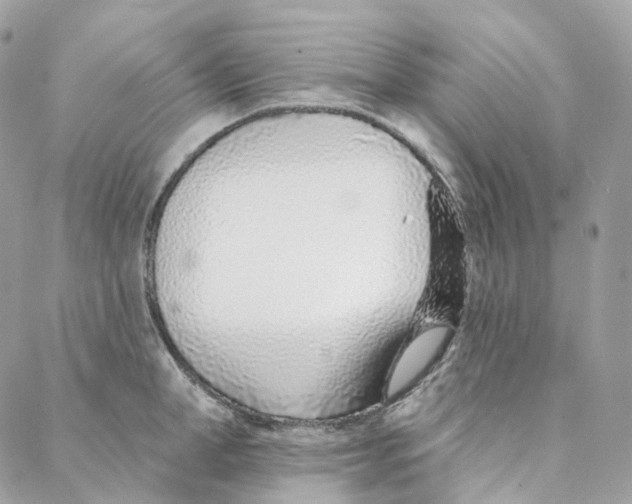 X0000088020998200706011320