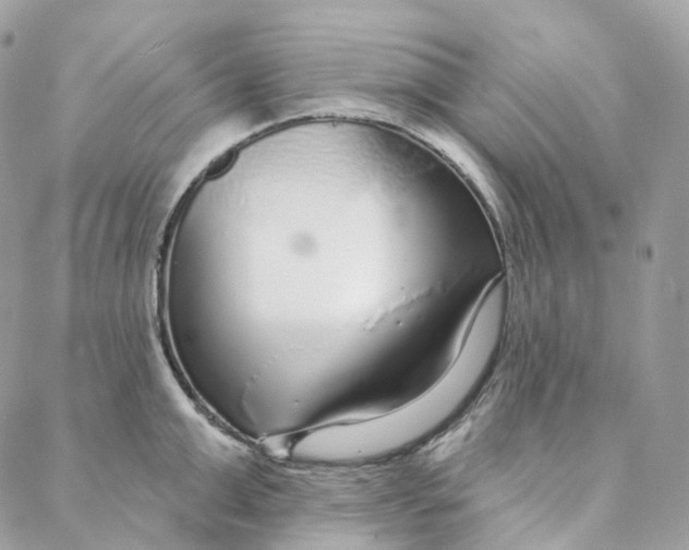 X0000088020999200706011320