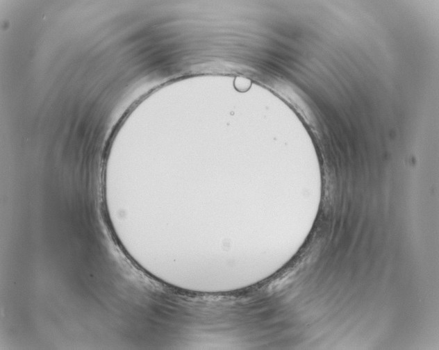 X0000088021000200706011320