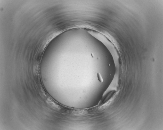 X0000088021001200706011320