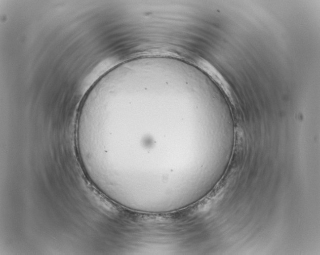 X0000088021002200706011319