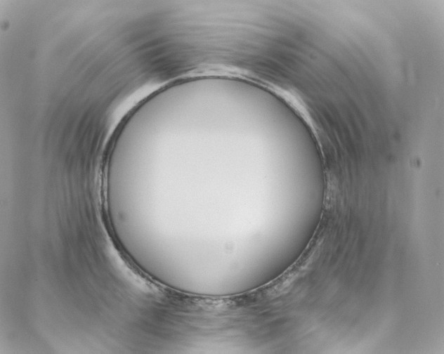 X0000088021003200706011319