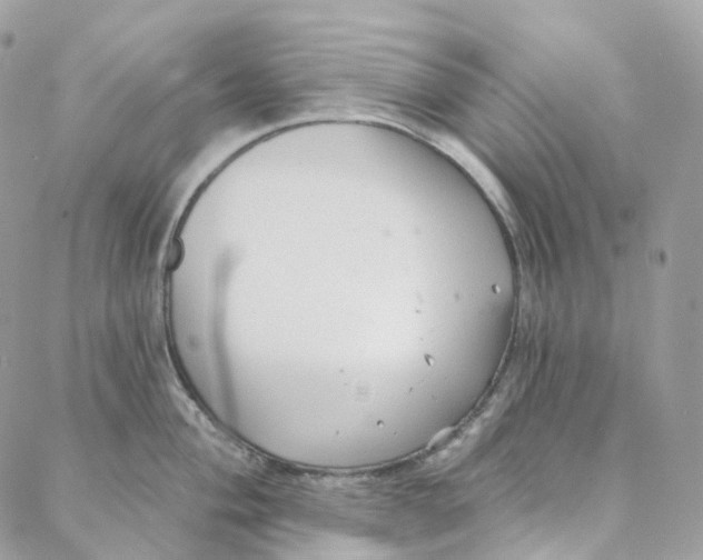 X0000088021004200706011319