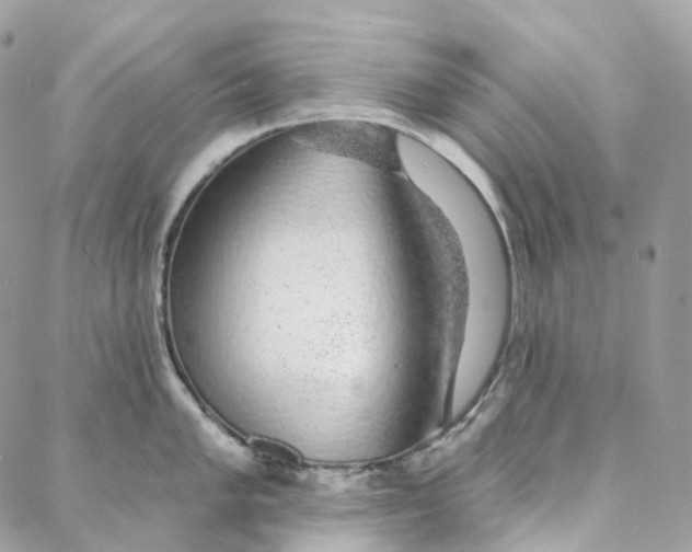 X0000088021005200706011319