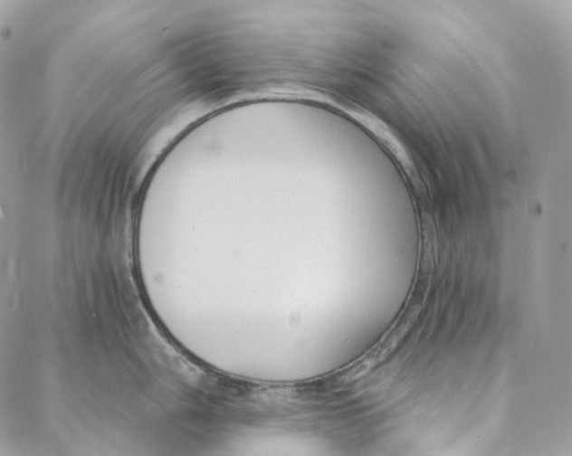 X0000088021006200706011319