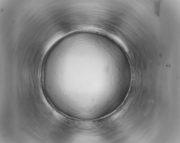 X0000088021007200706011319