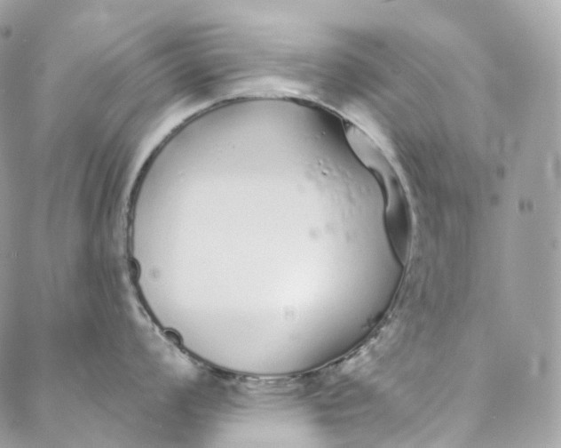 X0000088021008200706011319