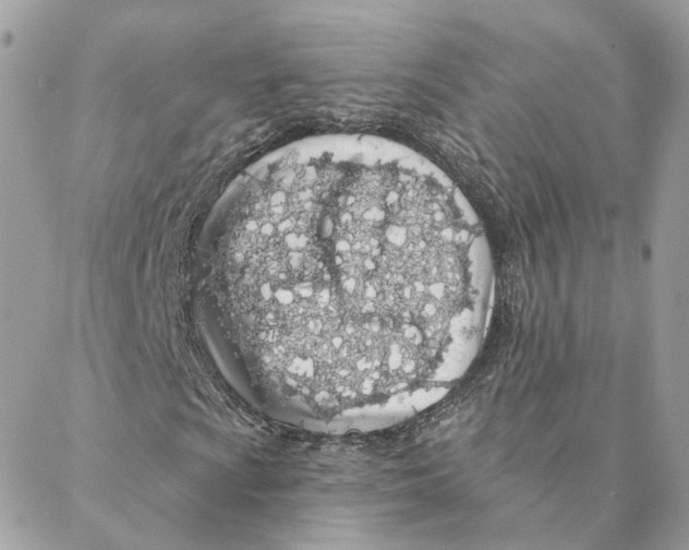 X0000088021009200706011319