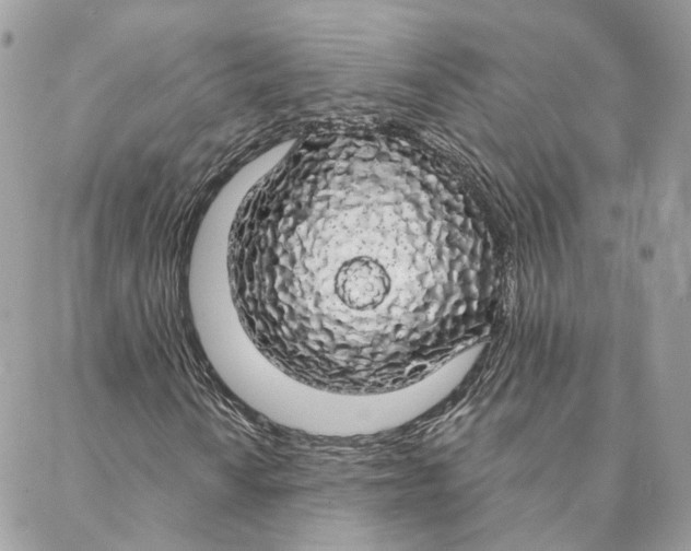 X0000088021010200706011319