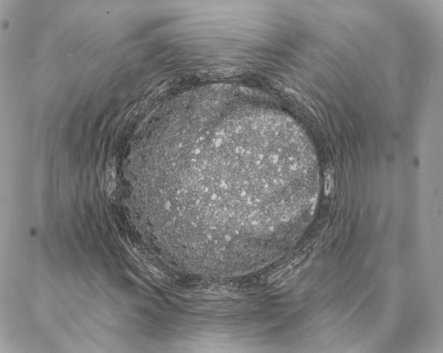 X0000088021011200706011319