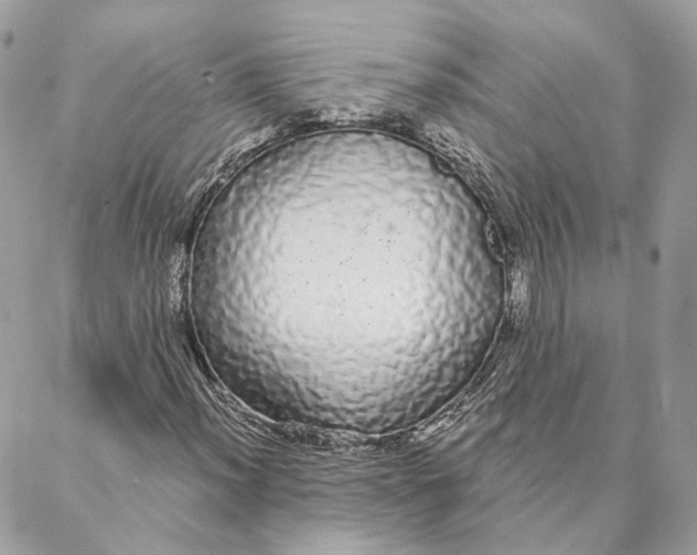 X0000088021012200706011319