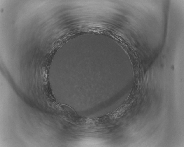 X0000088021013200706011319