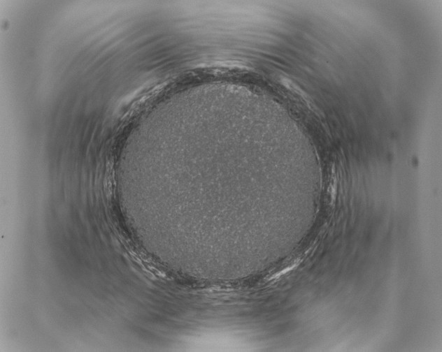 X0000088021014200706011319