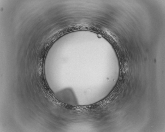 X0000088021015200706011319