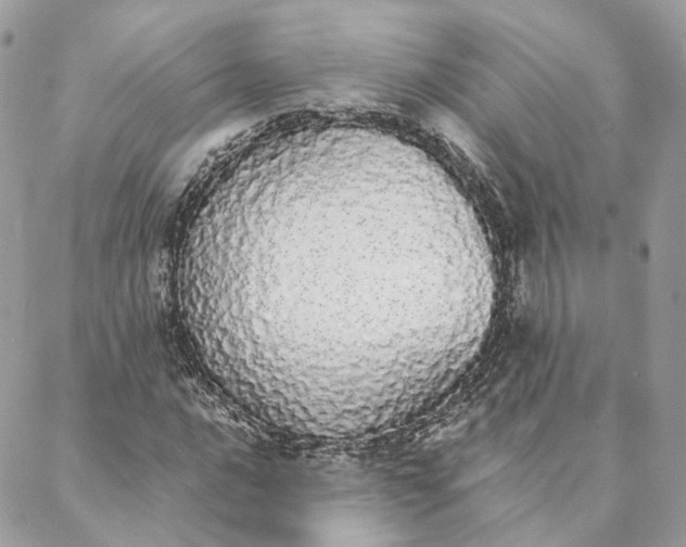 X0000088021016200706011319