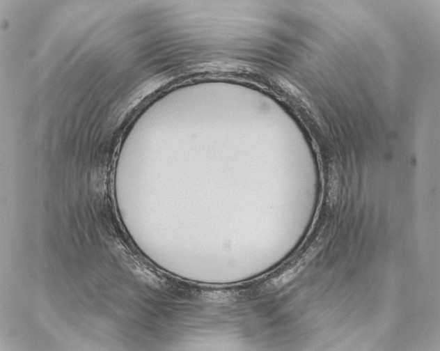 X0000088021017200706011319