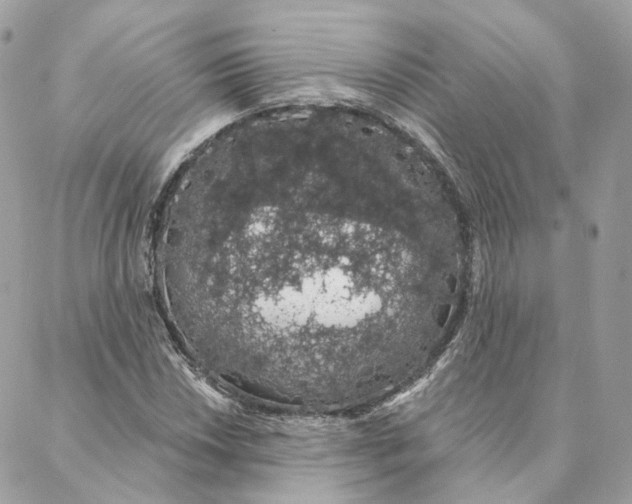 X0000088021018200706011319