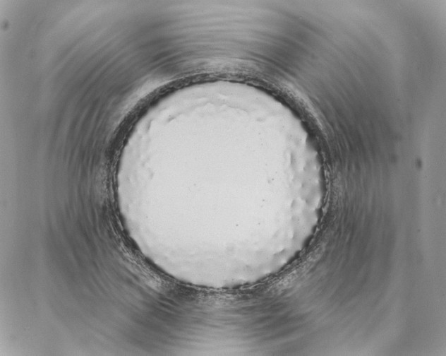 X0000088021019200706011319