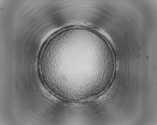 X0000088021020200706011319