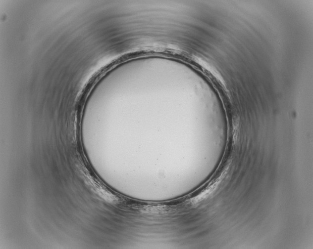 X0000088021021200706011319