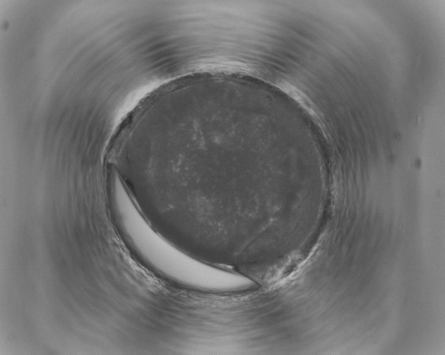 X0000088021022200706011319