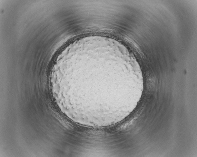 X0000088021023200706011319