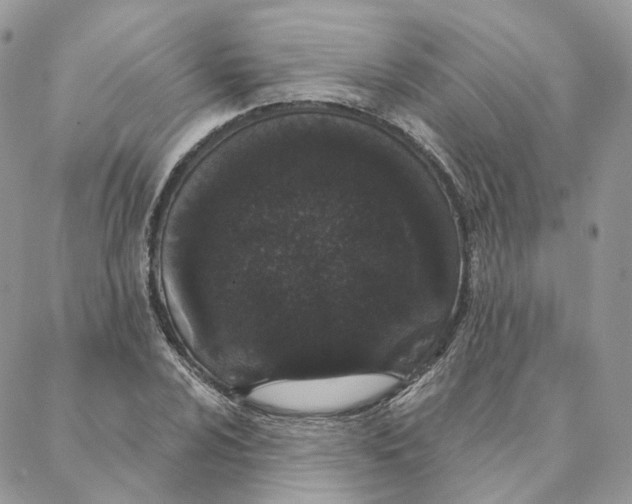 X0000088021024200706011319