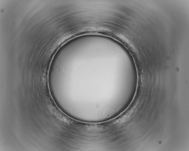 X0000088021025200706011319