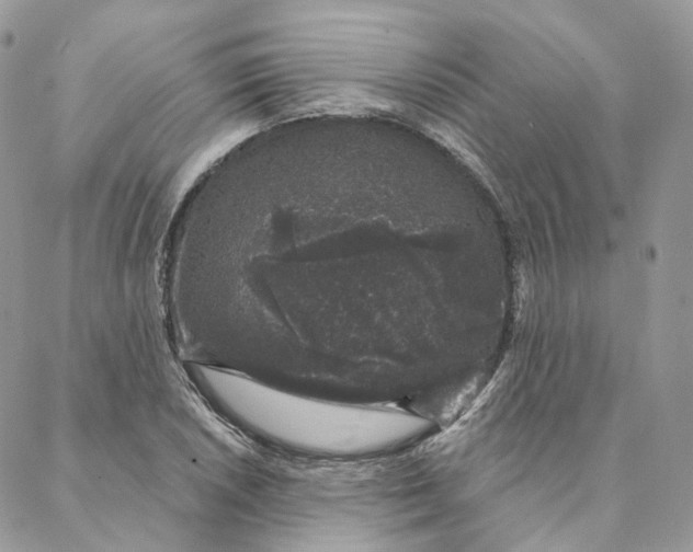 X0000088021026200706011319