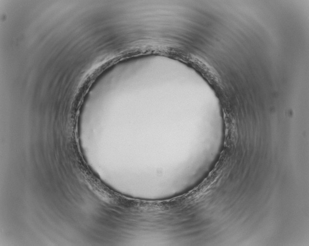 X0000088021027200706011319