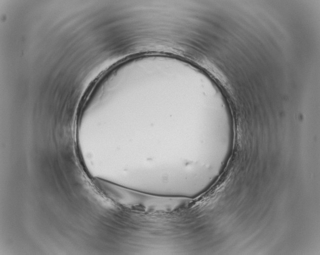 X0000088021028200706011319