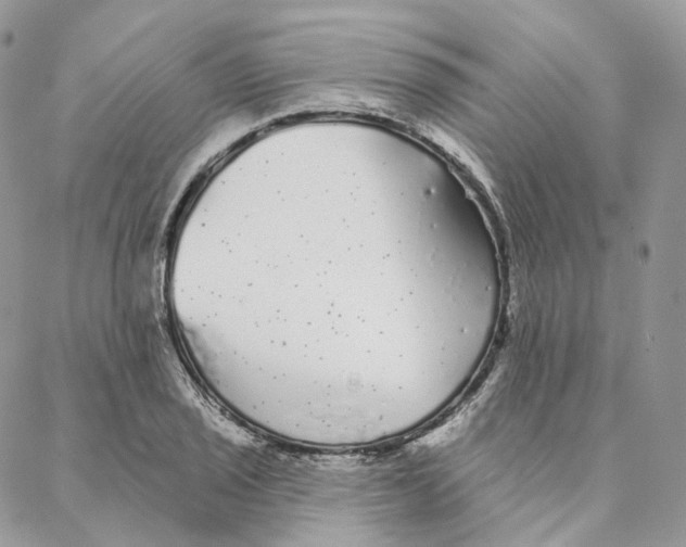 X0000088021029200706011319